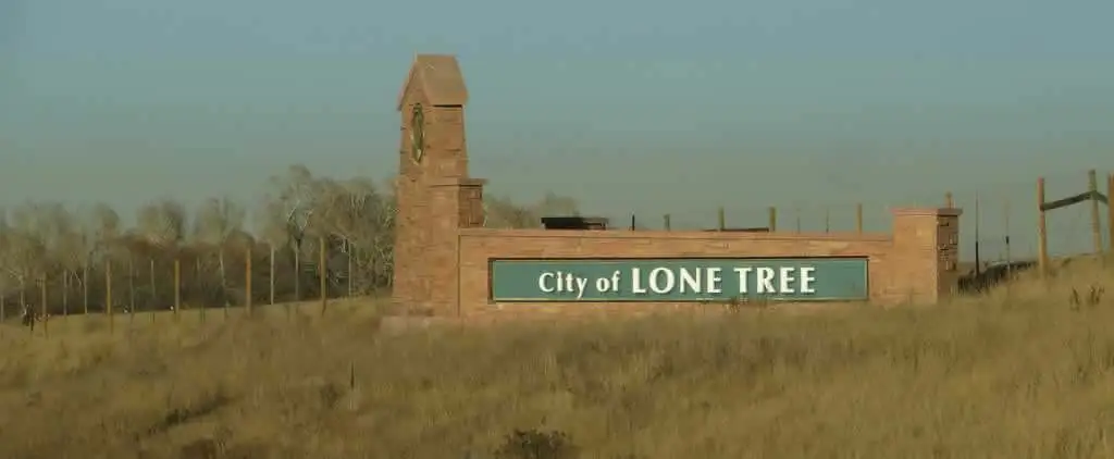 Expert movers packing boxes and loading them into a moving van in Lone Tree, Colorado.